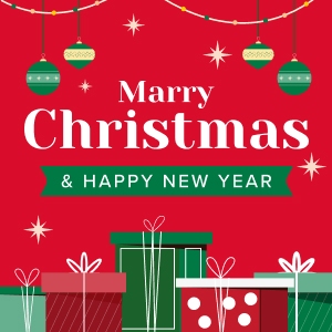 Merry Christmas & Happy New Year!