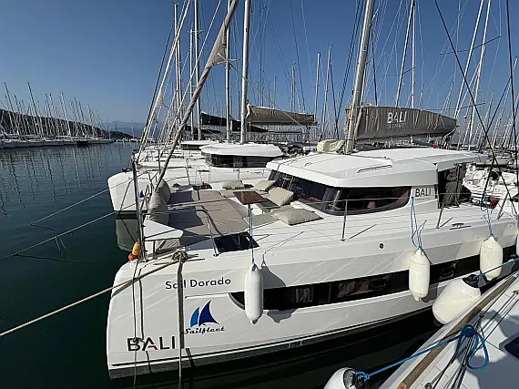 Bali Catsmart - External image